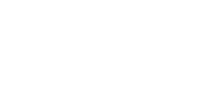 Выставка на носу
